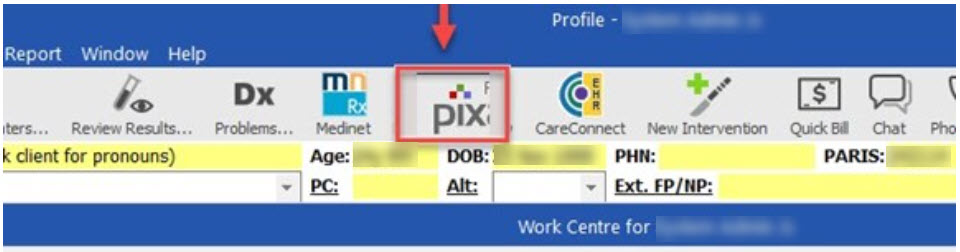 Pixalere Viewer.jpg